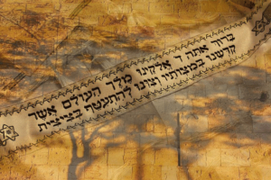 The Name Of Israel