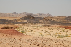 Israel's Desert