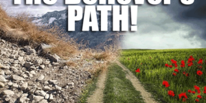 The Believers Path